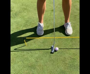 StraitLineGolf Putting Aid, Affordable, Easy Set-up, Stores in your Bag.