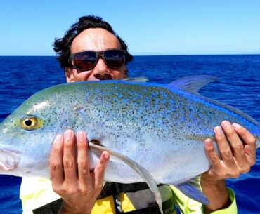Hawaii's Monster Inshore Fish ( Ulua ) - Two In One Day!