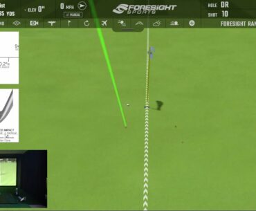Golf Practice Session (real-time)