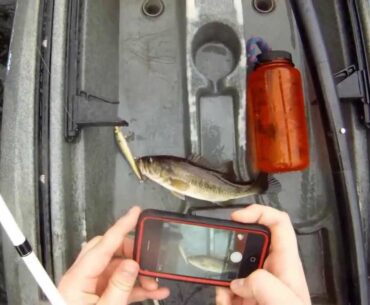 Jerkbait Fishing Stone Mountain Lake