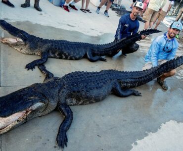 Fishing for GIANT Alligators - My First-Ever Gator Trip!!