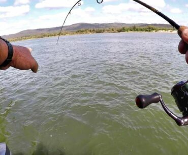 BIG FISH AMBUSHES SHAD!!! Try This When The Fish Won't Bite!