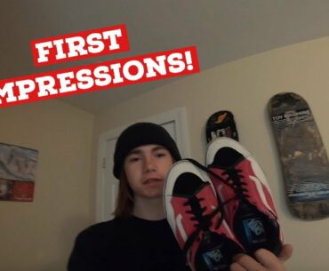 VANS TNT ADVANCED PROTOTYPE (First Impressions/Skate test)