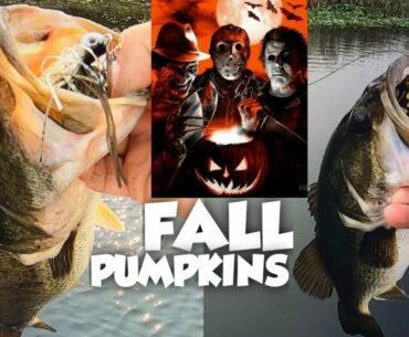California Delta Bass Fishing.(FALL FEED BAG vol #2)