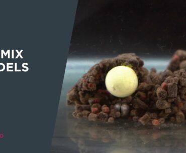 ***Carp Fishing How To*** Succesvol met Mini Ultramix Bag Mix