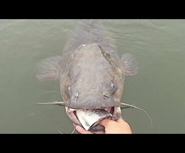 Fishing a Point for Fall Catfish