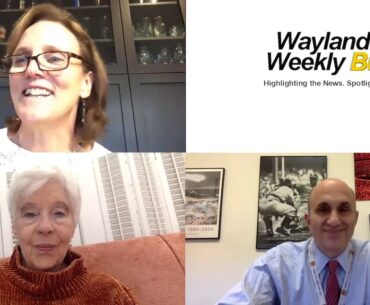 Wayland Weekly Buzz November 5, 2020