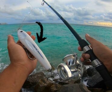 Tarpon fishing Off the Rocks MULLET RUN