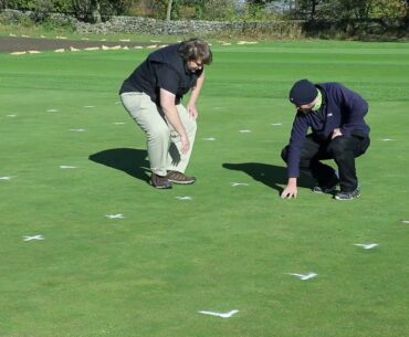 STRI - Research 2020 - GREEN Project