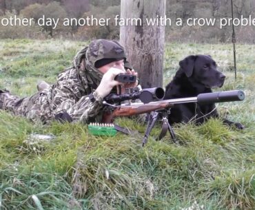 October Vermin Control