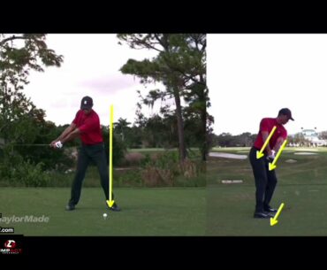 Golf : Tiger Woods Driver 2020