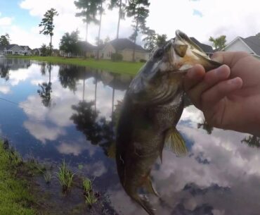 Fishing golf course ponds!