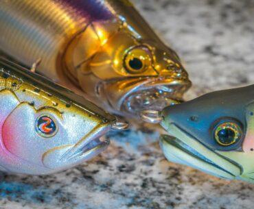 Bank Fishing: How To Catch The Biggest Bass Of Your Life!