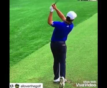 Xander Schauffele golf swing mechanics. #Bestgolfswings #alloverthegolf