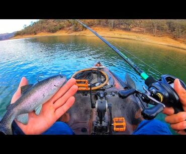 Fishing TROUT style baits (Do they catch bigger fish?)