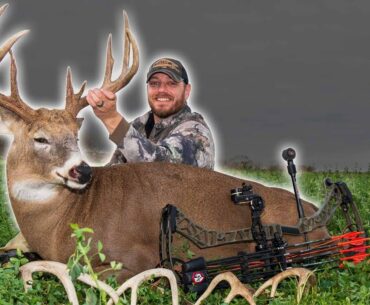 My First Buck From A Tree Saddle! (Smoked him at 8 yards)