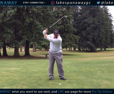 Monte Instruction Swing Analysis Pro Tips   Todd 062319