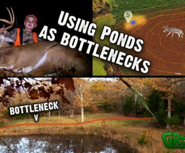 This Young Hunter Tagged a Buck Using a Pond as a Pinch Point: Deer Season 2020 (#586)