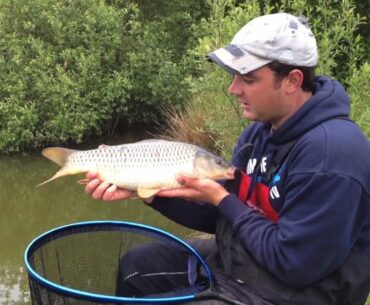 Carp Fishing With Worm & Groundbait In Shallow Water - Part One