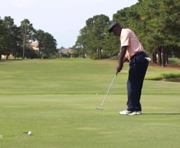 Myrtlewood Palmetto Golf Club Myrtle Beach SC