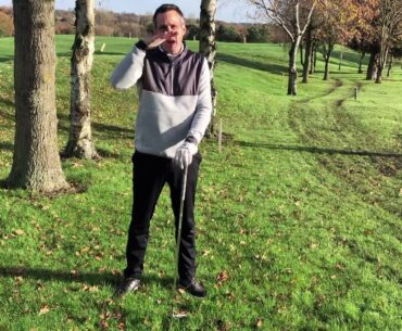 How to hit a punch shot under the trees