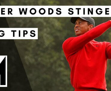 Tiger Woods Stinger