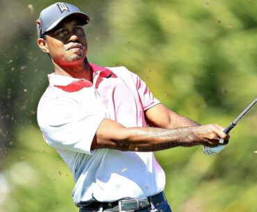 Tiger Woods Best Golf Shots - The Honda Classic 2018 | PGA National