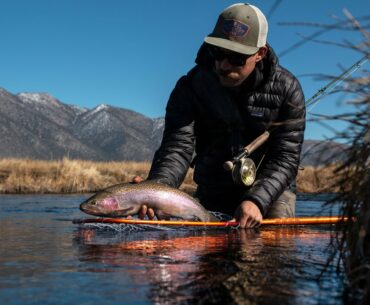 Redington | NO DAYS WASTED