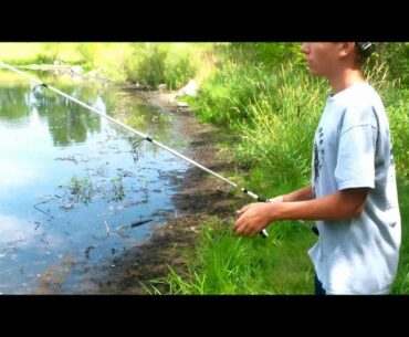 Fishing a Small Local Pond With the #1 Bait in the World