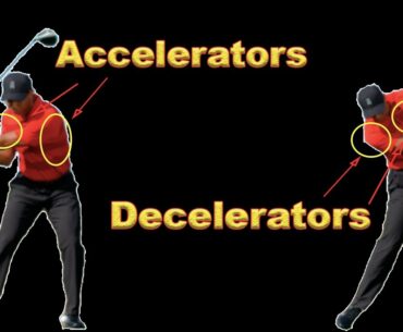Golf Swing Speed! What muscles you FORGET to TRAIN?