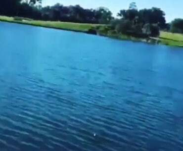 Duck Hunting with Golf Balls
