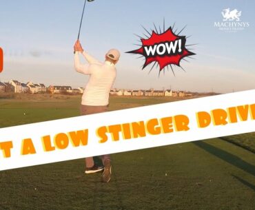 HOW TO HIT A DRIVER LOWER - STINGER