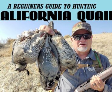 How to hunt California Quail