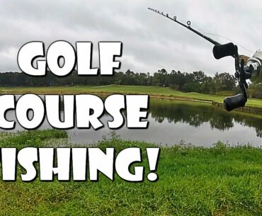 Golf Course Pond Bass Fishing!!
