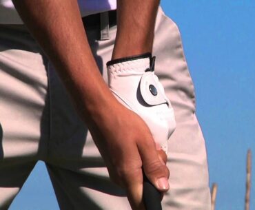 The Link - EQ Golf ( glove )