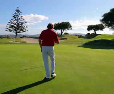 Bloodline Putter Alignment - How it Works