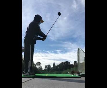 Thrift Store Golf-Hippo Hex Metal Driver