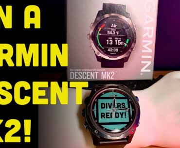 Garmin Descent Mk2, Mk2i and T1 Transmitter Review