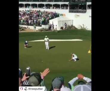 Happy winning ! #shorts #subforgolf #alloverthegolf