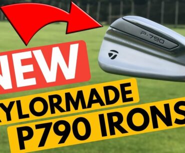 New 2019 TaylorMade P790 Iron Review