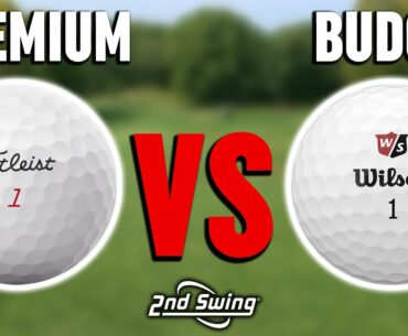 Budget Golf Ball vs. Premium Golf Ball | Titleist Pro V1x & Wilson Duo Soft | Golf Ball Comparison