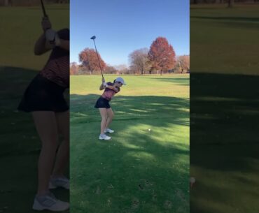 Lizzie swing - Nov 2020