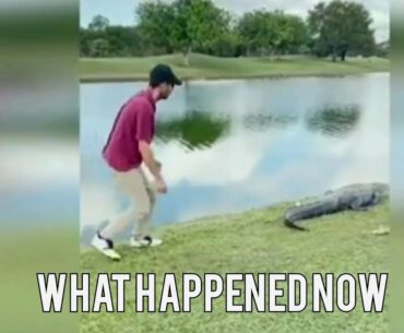 Golf Ball Lands On Alligator | This Guy Goes For It
