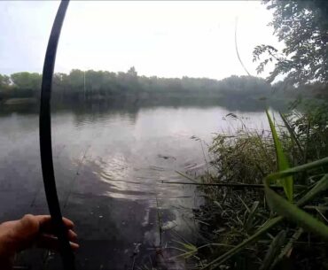 Jim Shelley - Jim Shelley - Go Pro Episode 8