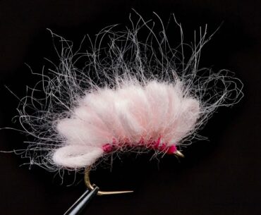 The Fly that KILLED Fly Fishing?!?
