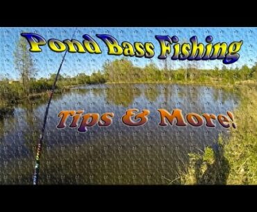Winter Pond Fishing Tips ~ Fan FAQ