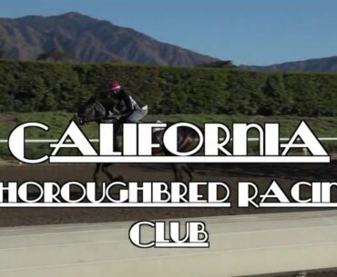 Racehorse's last workout before Santa Anita race