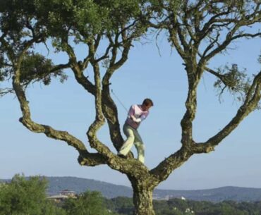 3 Rulings for When Your Golf Ball Is Stuck in a Tree