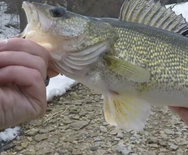 Fishing Early Spring River Walleye - UNEXPECTED PB!!!!