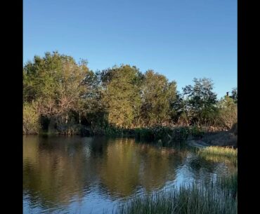 Farming or fishing?